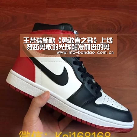 半岛体育APP