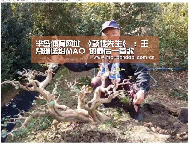 半岛体育注册