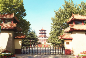 半岛体育下载