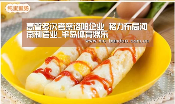 高管多次考察洛阳企业 格力布局河南制造业_半岛体育娱乐(图4) 半岛体育下载