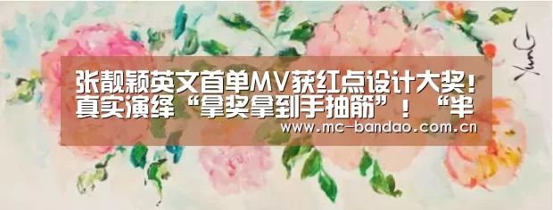 半岛体育APP