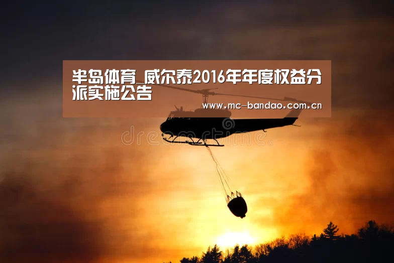 半岛体育_威尔泰2016年年度权益分派实施公告(图1) 半岛体育下载