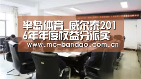 半岛体育_威尔泰2016年年度权益分派实施公告(图2) 半岛体育娱乐